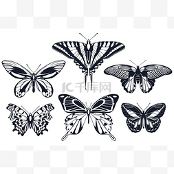 一组翅膀上有图案的蝴蝶图标