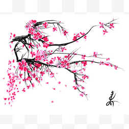 桃树背景图图片_现实的樱花-白色背景的日本樱桃