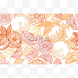 精致无缝的柚子图案,设计元素.采