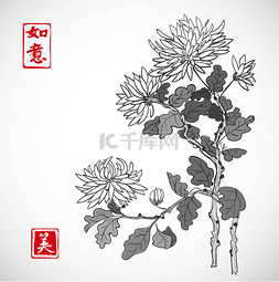 菊花图片_传统的东方水墨菊花 