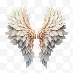 翅膀3d羽毛免扣元素装饰素材