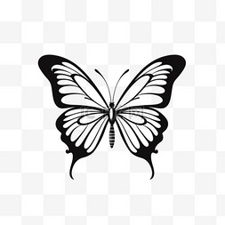 翅膀蝴蝶图片_绘制细节的蝴蝶轮廓集合