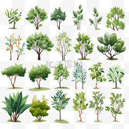 植物树影图片_品种繁多的植物和树木