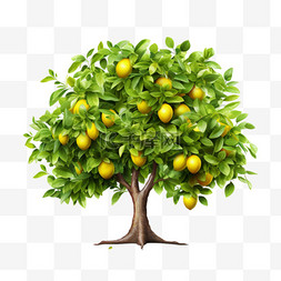 柠檬树树叶植物元素立体免扣图案