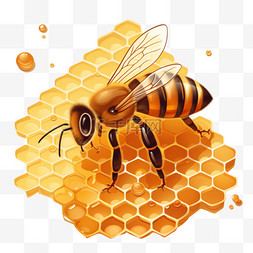 蜂巢3d蜜蜂元素立体免扣图案