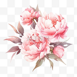 盛开的粉红色手绘元素牡丹花