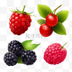 透明图标图片_逼真的浆果透明集与树莓、草莓、