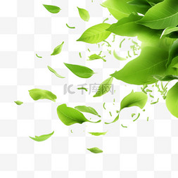 飞舞绿叶图片_绿茶在空中飞舞的3D背景