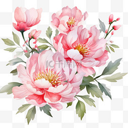 手绘彩绘花卉图片_水彩亚洲花卉插图