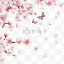 春色中的樱花和飞花
