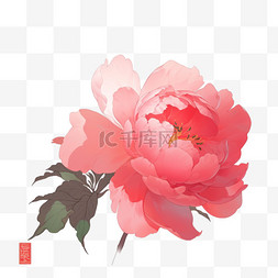 盛开的粉红色牡丹花手绘元素