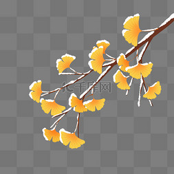 枫叶树枝素材图片_秋冬秋天霜降积雪银杏叶树叶