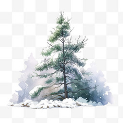 卡通冬天覆盖雪的松树手绘元素