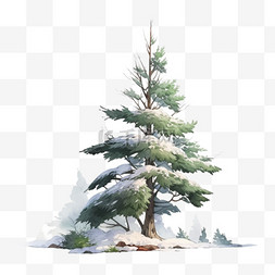 冬天覆盖雪的松树卡通手绘元素