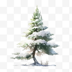 白雪图片_覆盖雪的松树冬天卡通手绘元素