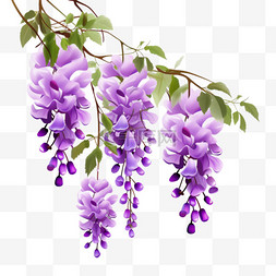 紫藤花装饰植物元素立体免扣图案