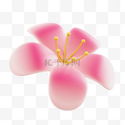 3D花朵花蕊花朵春天春季免抠素材