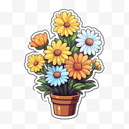 盆栽植物图片大全花卉 true