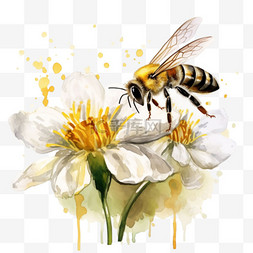 素材蜜蜂采蜜元素立体免抠图案