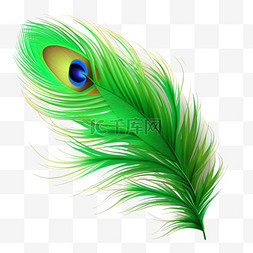 孔雀羽毛装饰图案图片_3d合成孔雀羽毛元素立体免抠图案