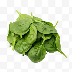 3d蔬菜绿叶元素立体免抠图案