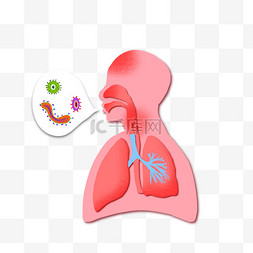 肺部呼吸道感染卡通手绘侧面图素