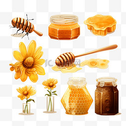 甜品集合图片_蜂蜜食品元素用雏菊蜂巢隔离矢量