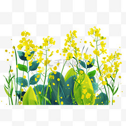 春天黄色免抠油菜花手绘元素