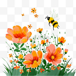 春天菊花植物蜜蜂手绘卡通元素