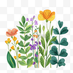 花草植物手绘元素春天插画
