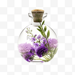 温泉图片_香薰植物紫色