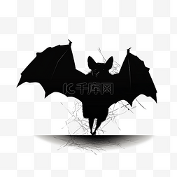 可怕的蝙蝠剪影黑色