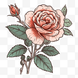 玫瑰粉色图案