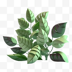 植物叶子立体插画