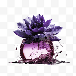 香奈尔香水图片_香水紫色花朵