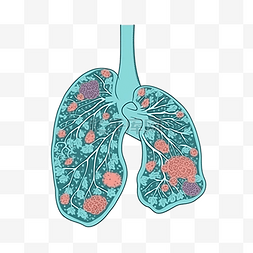 哮喘日器官插画