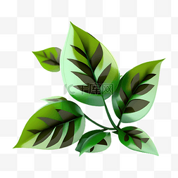 植物叶子绿色卡通插画