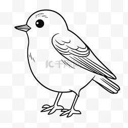 白色线条羽毛图片_画一只小鸟着色页轮廓草图 向量