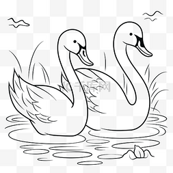 湖中的天鹅图片_两只天鹅在湖中游泳着色页轮廓素