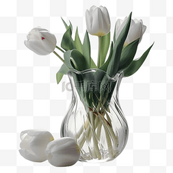 玻璃器花瓶图片_郁金香植物透明