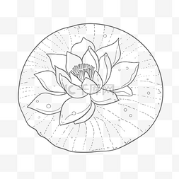 在圆形轮廓素描图上着色的睡莲花