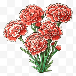 康乃馨花束红色白边图案