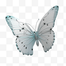 蝴蝶白色渐变美丽
