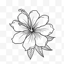 花卉轮廓素描的黑白绘图 向量