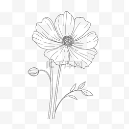 花卉轮廓草图的黑白线描 向量