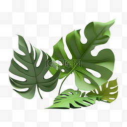 植物叶子绿色插画