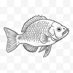鱼线描图片_成人的鱼着色页轮廓素描 向量