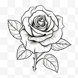 白玫瑰花图片_带叶的玫瑰花黑白轮廓素描 向量