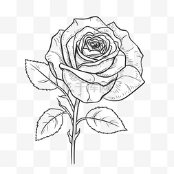 黑色线条茶图片_着色玫瑰绘图插图轮廓素描 向量