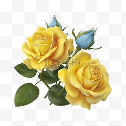 玫瑰黄色的花朵